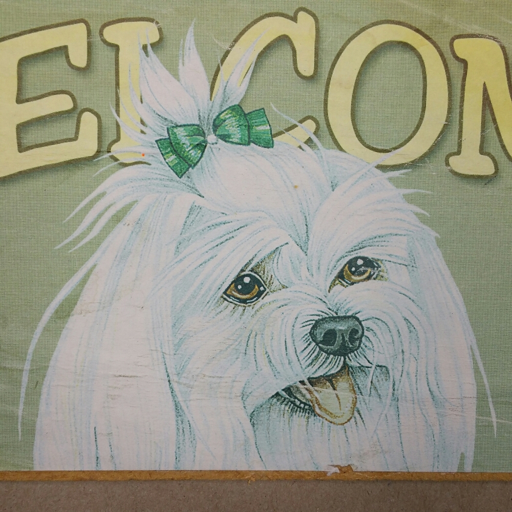 Welcome Sign White Dog Puppy Maltese - Picture 4 of 6